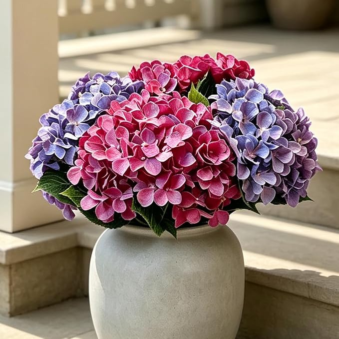 Artificial hydrangeas in outdoor planters beside a front door, fade resistant faux flowers