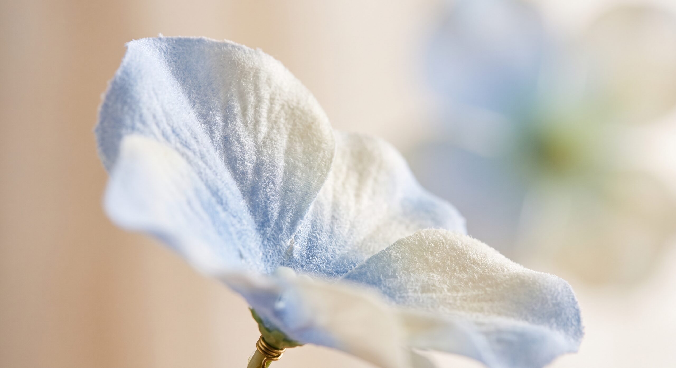 close-up of a real touch flower petal texture