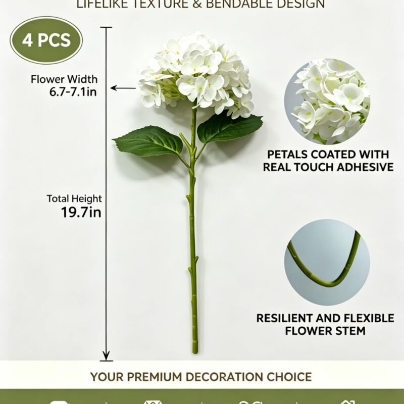 Hydrangeas