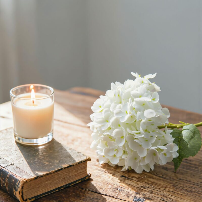 Hydrangeas