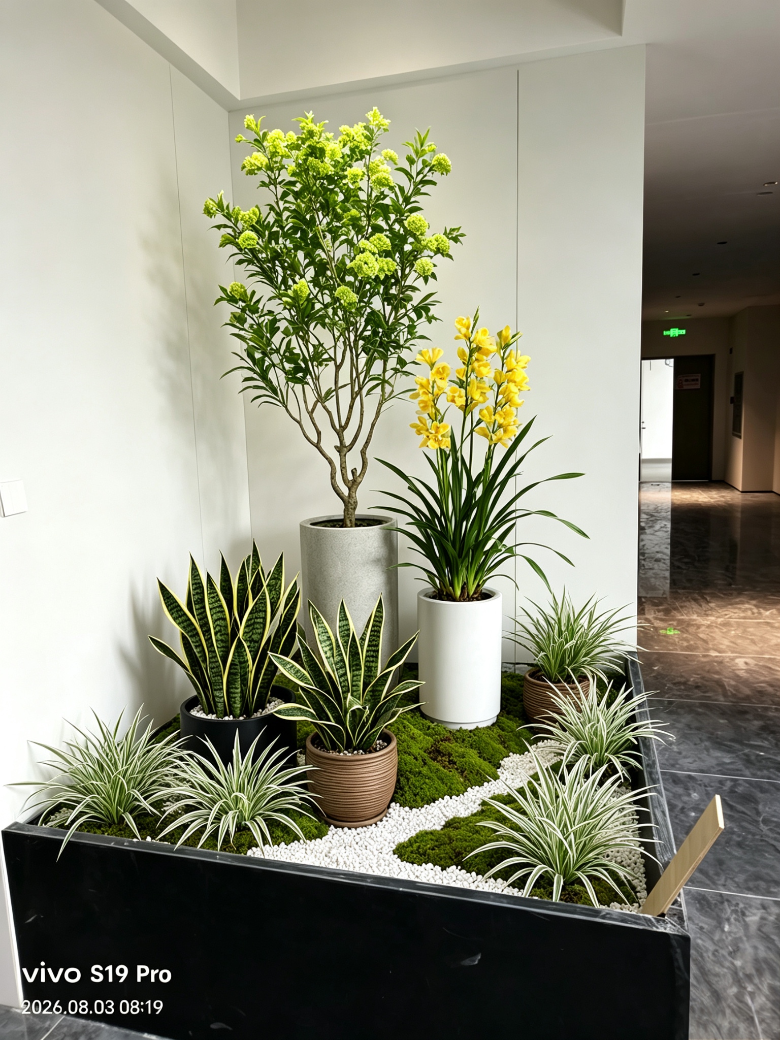 Indoor trio potted garden