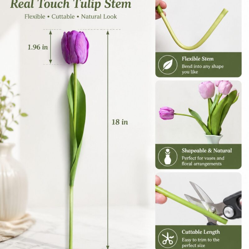 Tulips