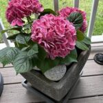 Customer review photo of artificial flower arrangement - BloomWitness